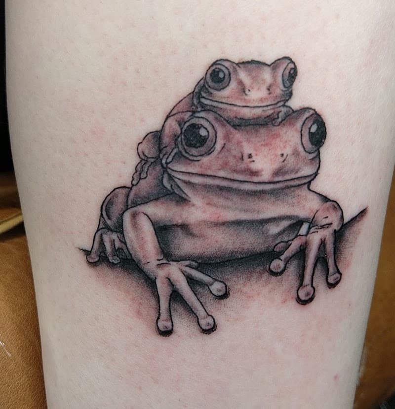 Close-up van twee kikkers op elkaar, zwart-wit.