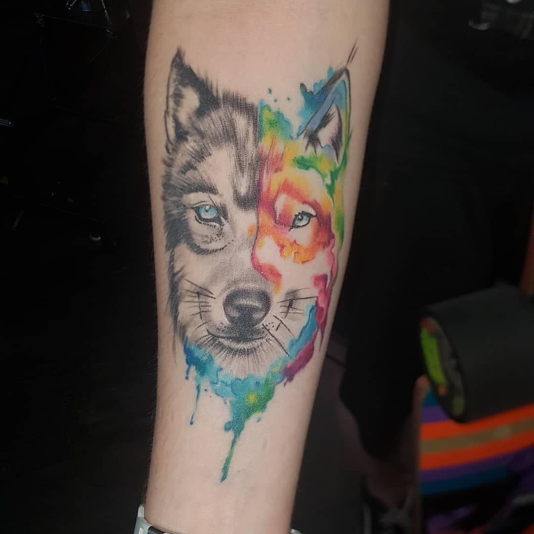 Half realistische, half watercolor wolf tattoo op onderarm.