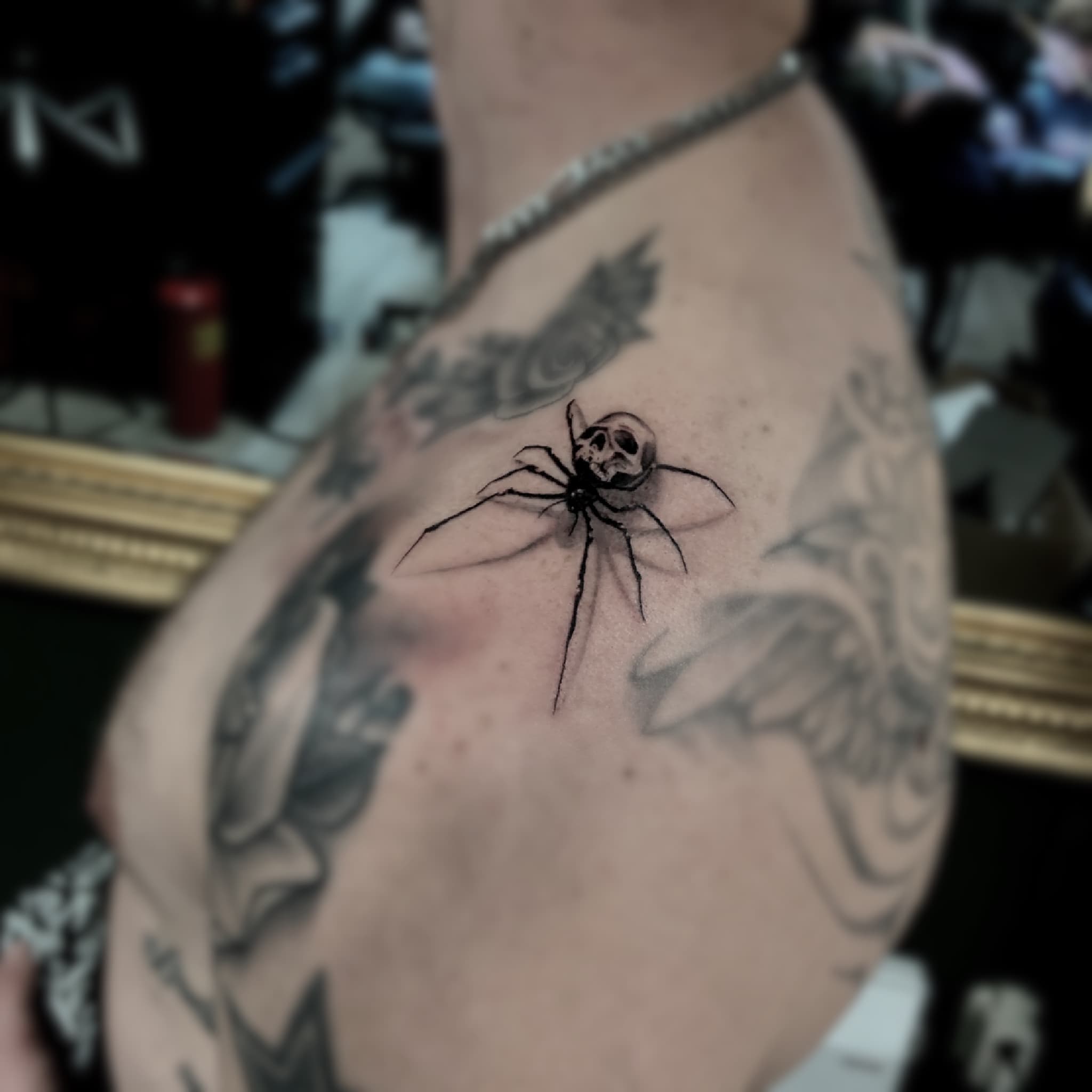 Realistische spin met doodskop op schouder.