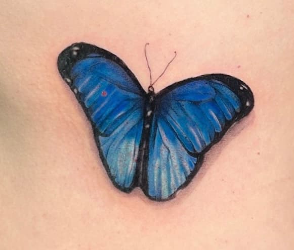 Realistische blauwe vlinder tattoo op de schouder.